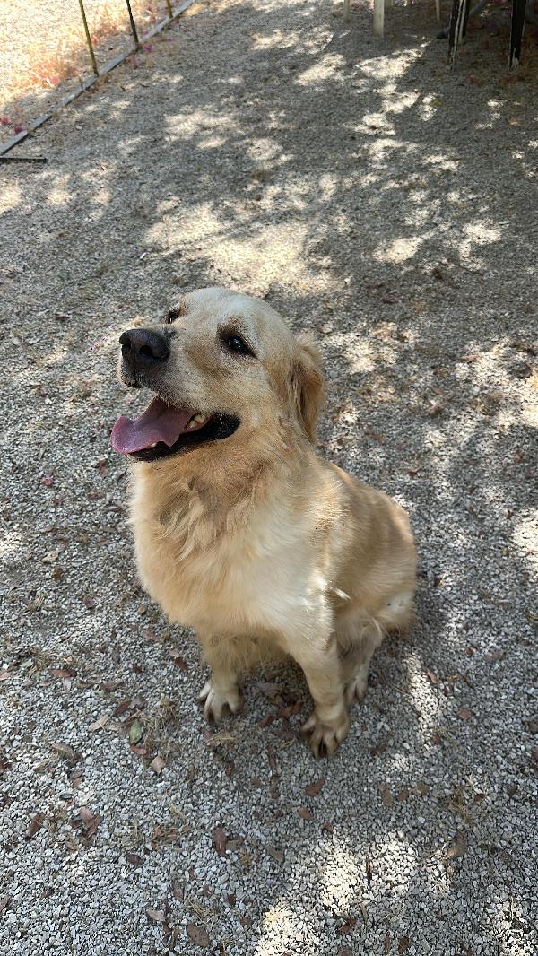 CASPER Foto 2